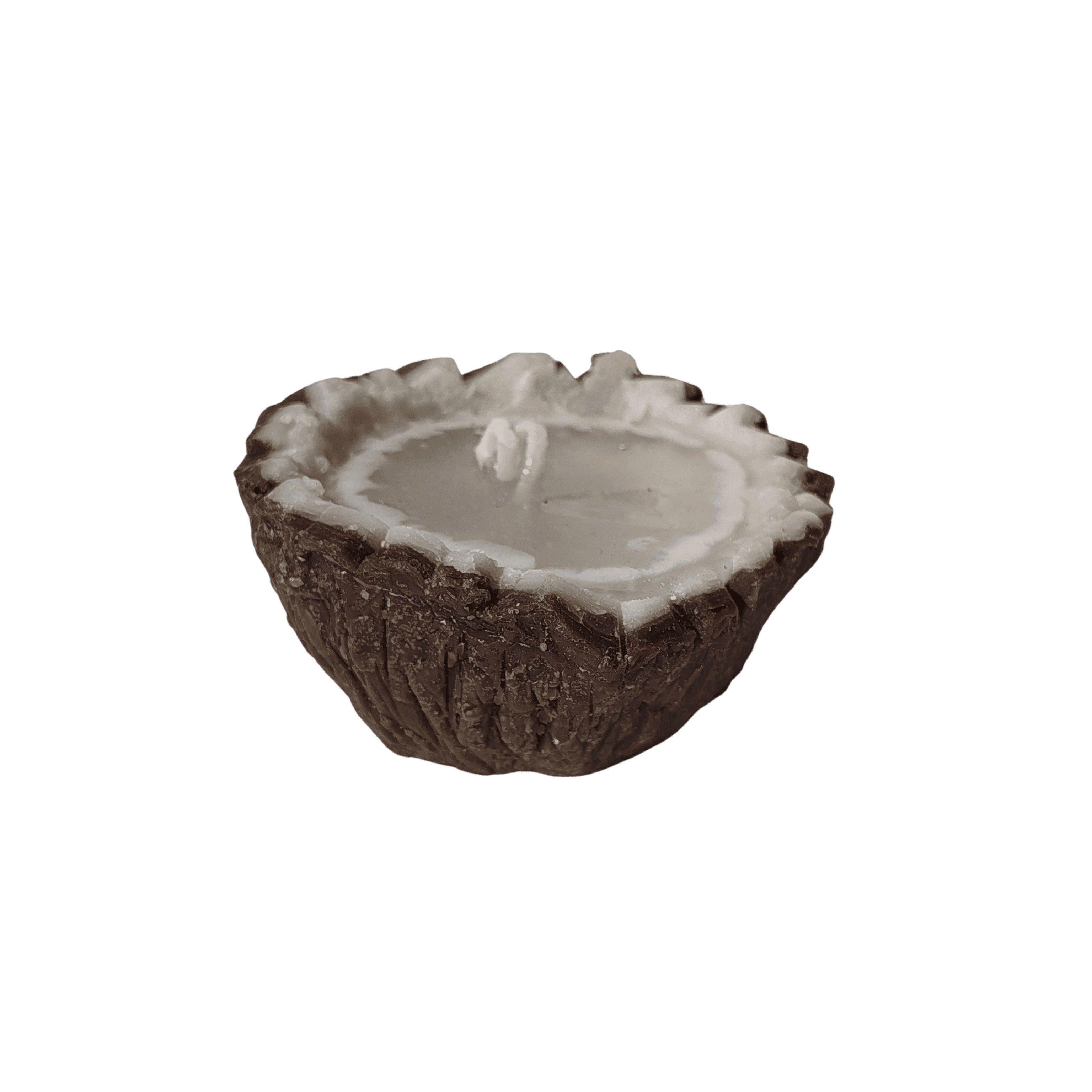 Coconut shell isolated